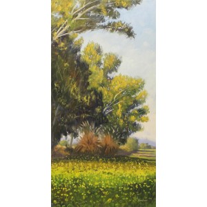 Tahir Bilal Ummi, 18 x 36 Inch, Oil on Canvas, Landscape Painting, AC-TBL-008